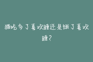 猫吃多了喜欢睡还是饿了喜欢睡?