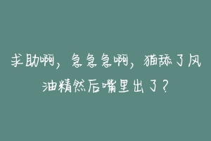求助啊，急急急啊，猫舔了风油精然后嘴里出了？