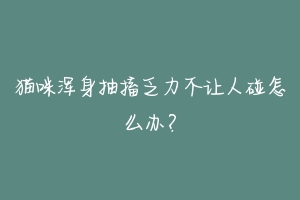 猫咪浑身抽搐乏力不让人碰怎么办?