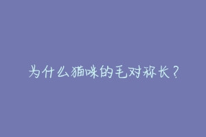 为什么猫咪的毛对称长?
