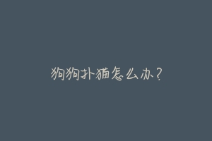 狗狗扑猫怎么办?