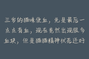 三岁的猫咪便血,先是最后一点点有血,现在竟然出现很多血块,但是猫猫精神状态还好.请问可能是什么原因?