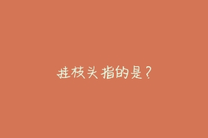 挂枝头指的是?