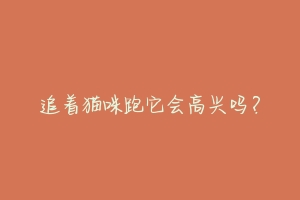 追着猫咪跑它会高兴吗？