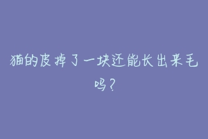 猫的皮掉了一块还能长出来毛吗？