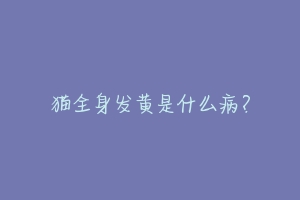 猫全身发黄是什么病？