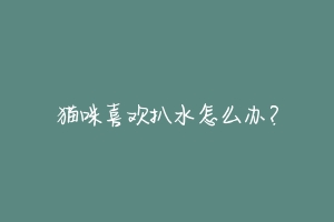 猫咪喜欢扒水怎么办?