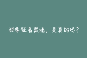 猫象征着黑暗，是真的吗？