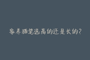 家养猫笼选高的还是长的?