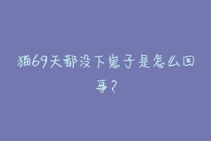 猫69天都没下崽子是怎么回事？