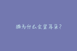 猫为什么会竖耳朵?