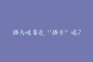 猫为啥要走“猫步”呢?