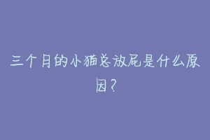 三个月的小猫总放屁是什么原因?