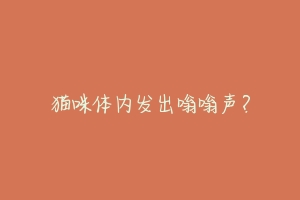 猫咪体内发出嗡嗡声？