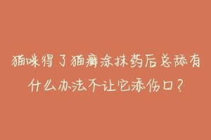 猫咪得了猫癣涂抹药后总舔有什么办法不让它添伤口?