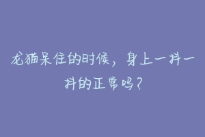 龙猫呆住的时候,身上一抖一抖的正常吗?
