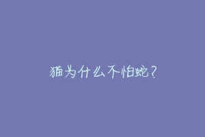 猫为什么不怕蛇?