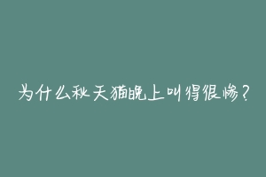 为什么秋天猫晚上叫得很惨？