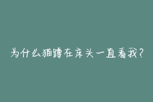 为什么猫蹲在床头一直看我?