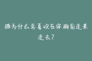 猫为什么总喜欢在你胸前走来走去?