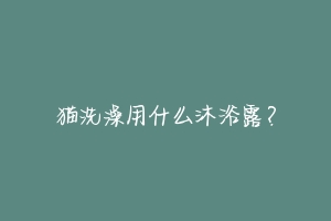 猫洗澡用什么沐浴露?