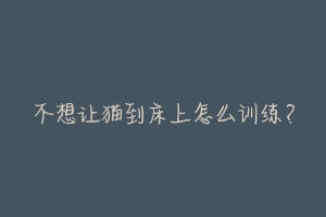 不想让猫到床上怎么训练?