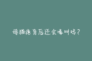母猫绝育后还会嚎叫吗?