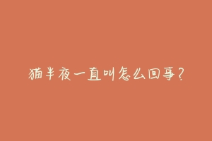 猫半夜一直叫怎么回事?