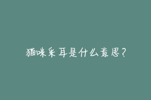 猫咪采耳是什么意思?
