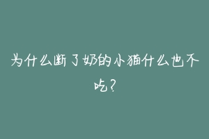为什么断了奶的小猫什么也不吃?