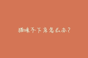 猫咪不下床怎么办?