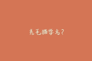 秃毛猫学名?