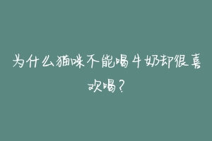 为什么猫咪不能喝牛奶却很喜欢喝?