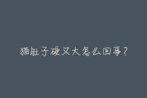 猫肚子硬又大怎么回事?