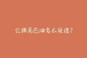 公猫尾巴油怎么处理？