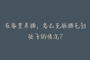在家里养猫，怎么克服猫毛到处飞的情况？