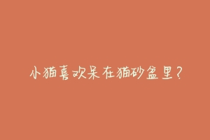 小猫喜欢呆在猫砂盆里?