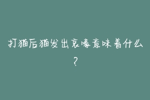 打猫后猫发出哀嚎意味着什么?