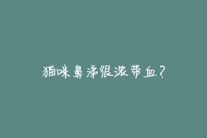 猫咪鼻涕很浓带血？