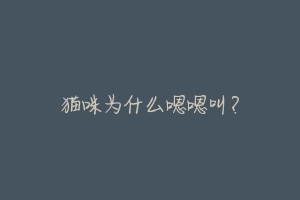 猫咪为什么嗯嗯叫?