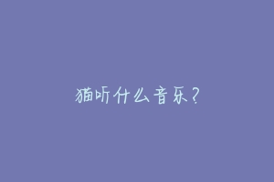 猫听什么音乐?