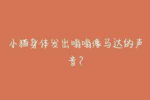 小猫身体发出嗡嗡像马达的声音？