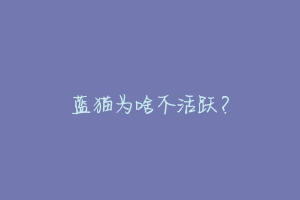 蓝猫为啥不活跃?