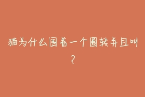 猫为什么围着一个圈转并且叫?