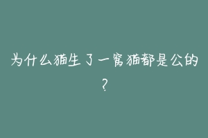 为什么猫生了一窝猫都是公的?