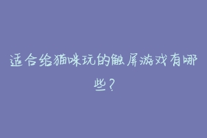 适合给猫咪玩的触屏游戏有哪些?