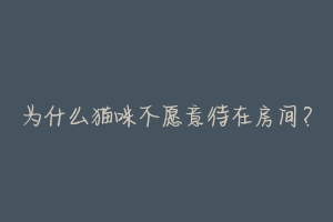 为什么猫咪不愿意待在房间?