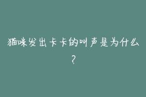 猫咪发出卡卡的叫声是为什么?