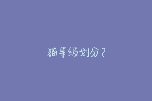 猫等级划分?