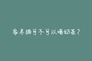 家养猫可不可以喝奶茶?